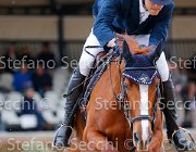 Pina Conglove Gold GioCav2013 S5 2588 : Campionati Italiani Giovani Cavalli, Cattolica, Conglove Gold, Pina Gabriele, ph Stefano Secchi ©